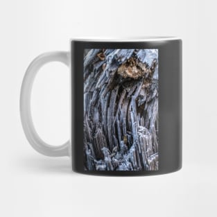 Close Up of an Old Broken Tree Mug